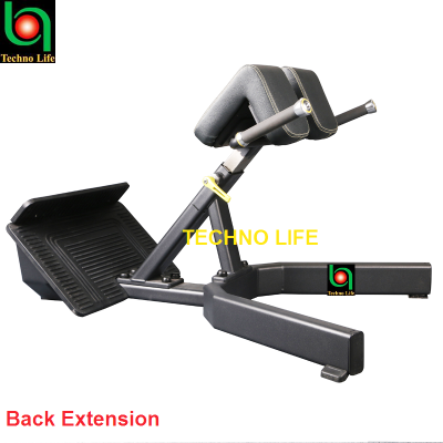 دكة قطنية Back Extension لتقوية أسفل الظهر