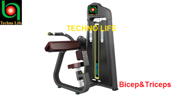 Combo Bicep & Triceps