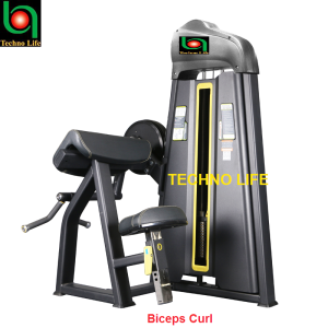 Biceps Curl                    باى سيبث