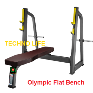 Olympic Flat Bench         دكة بالحامل مستوى