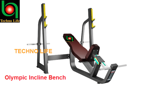 Olympic Incline Bench    دكة بالحامل مائل مستويات