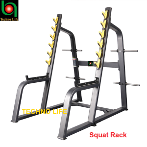 Squat Rack                    حامل بار /طارات